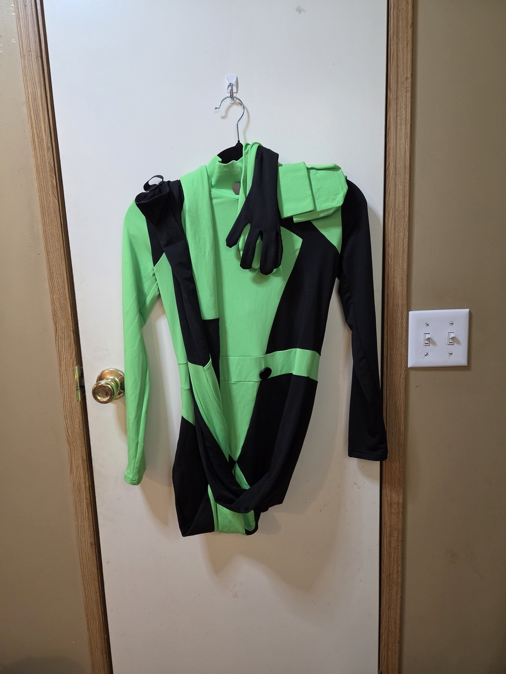 Womens Shego Costume